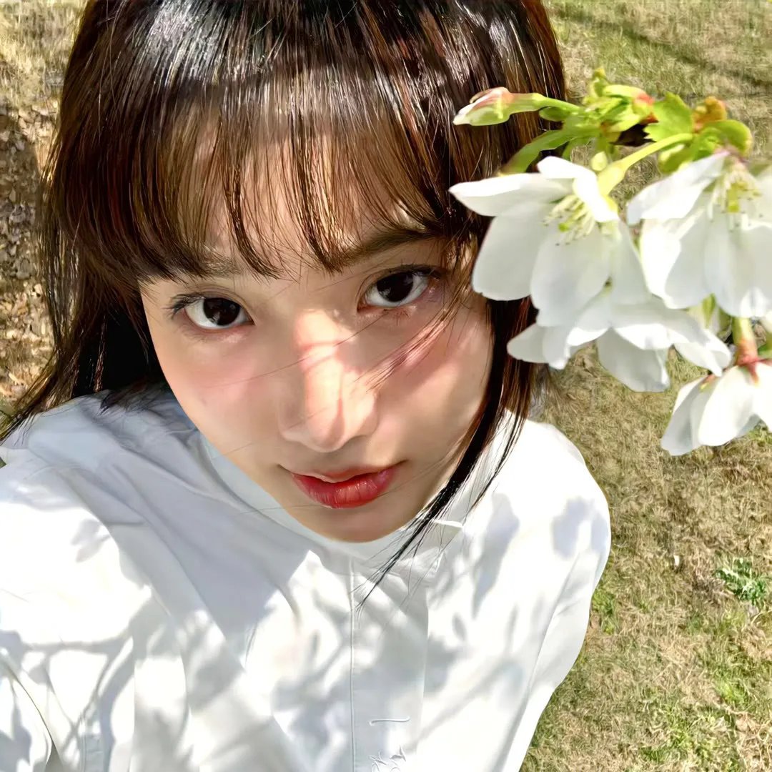 玉骨遥